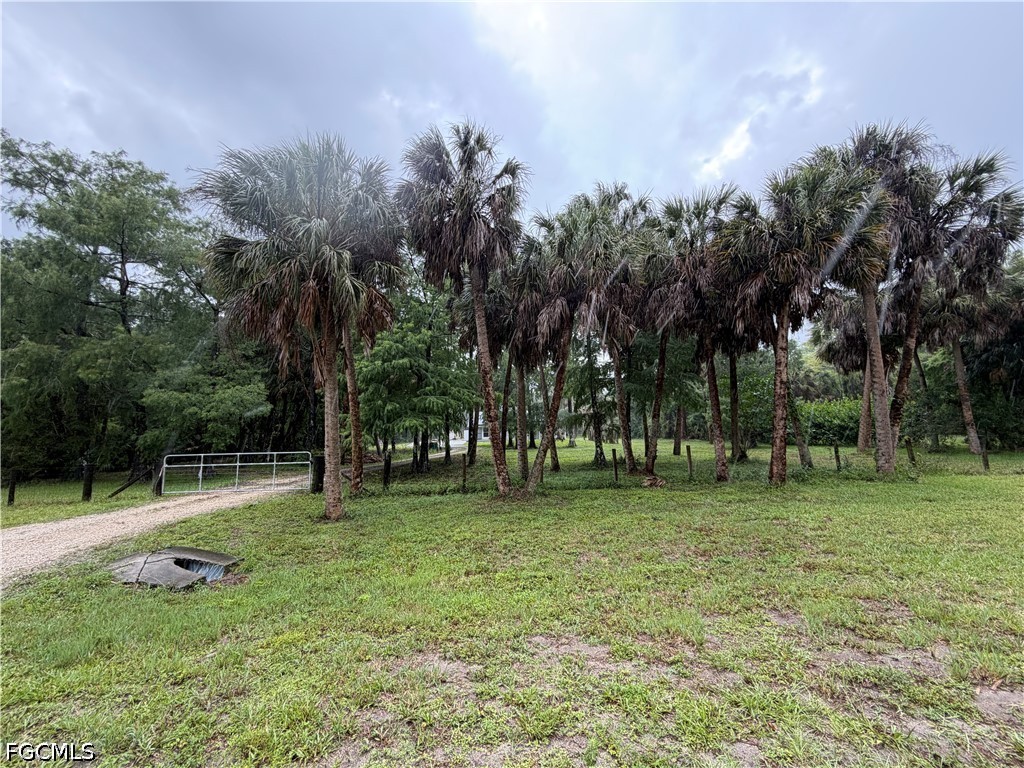 Residential in Naples 2
