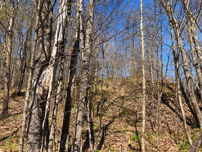Lot 35 N Alpine Dr, Home with 0 bedrooms, 0 bathrooms and null parking in Upson WI | Image 15