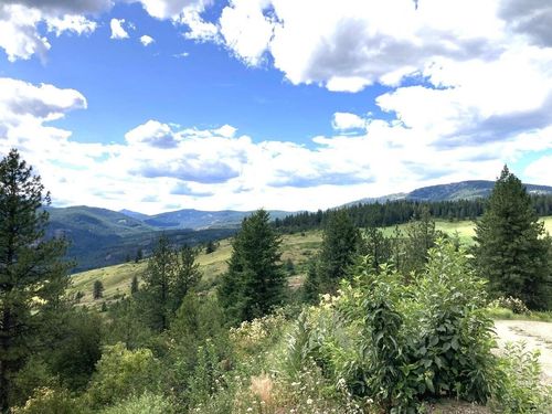 #T Buffy Ln, Inchelium, WA, 99138 | Card Image