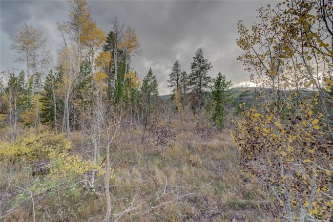 View of local wilderness | Image 15