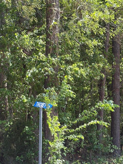 0 Thicket Ln, Saint Stephen, SC, 29479 | Card Image
