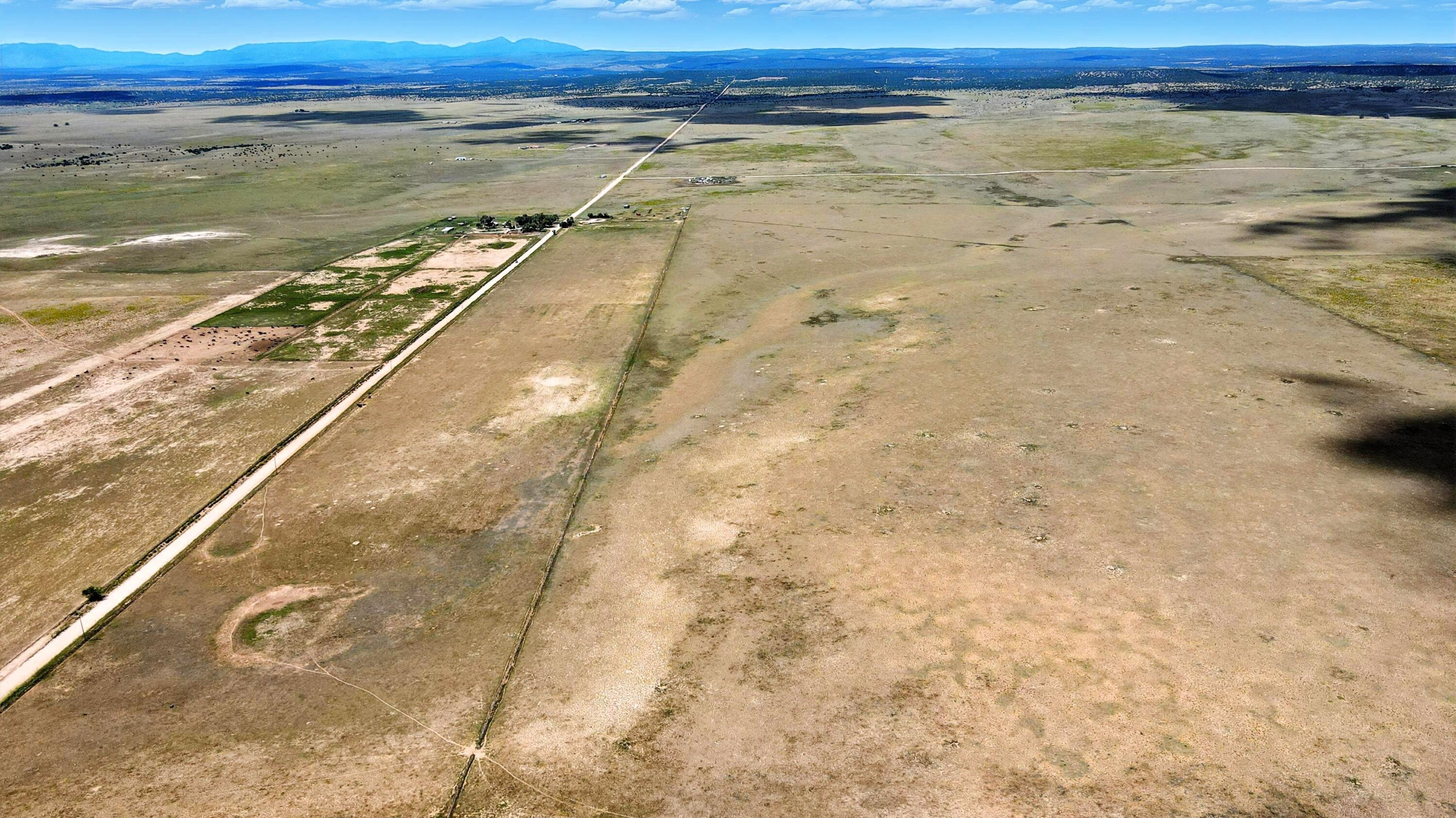 Farm in Estancia 5