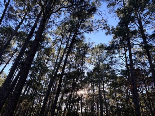 987 Stephen Ln, La Grange, TX, 78945-5361 | Card Image