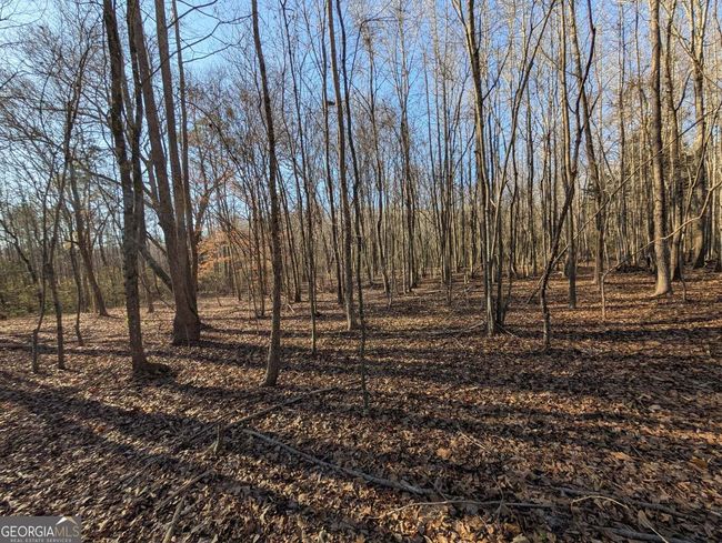 0 Ridgeway Rd, Home with 0 bedrooms, 0 bathrooms and null parking in Trion GA | Image 24