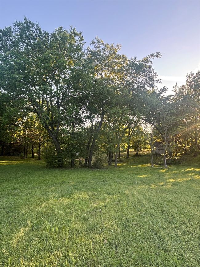 0 E Williams St, Home with 0 bedrooms, 0 bathrooms and null parking in Saint Jo TX | Image 14