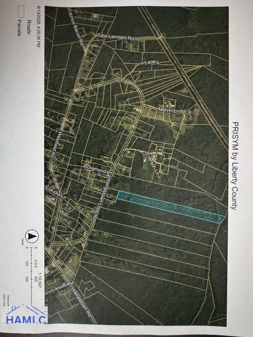 13.14 Ac Holmestown Loop Rd, Midway, GA, 31320 | Card Image