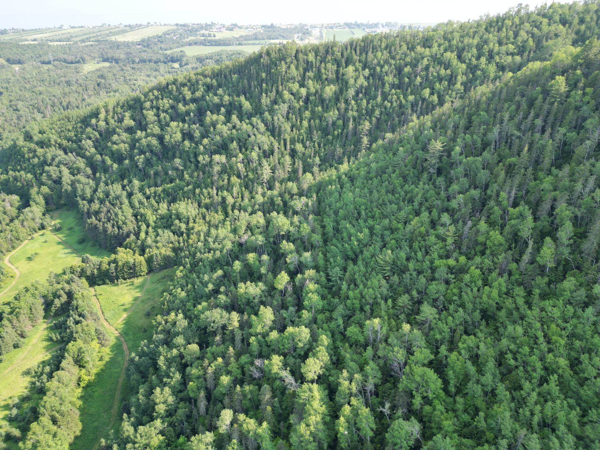 Land in Unknown 2