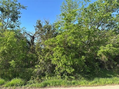 TBD Lot B Spring Road, Ranger, TX, 76470 | Card Image