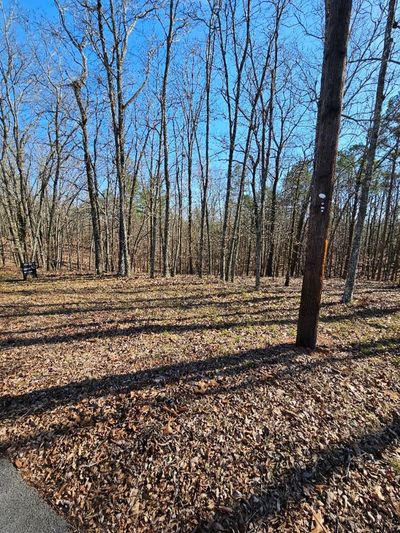 BLK 03 LOT 05 Mountain Ridge Drive, Home with 0 bedrooms, 0 bathrooms and null parking in Waverly Hall GA | Image 2