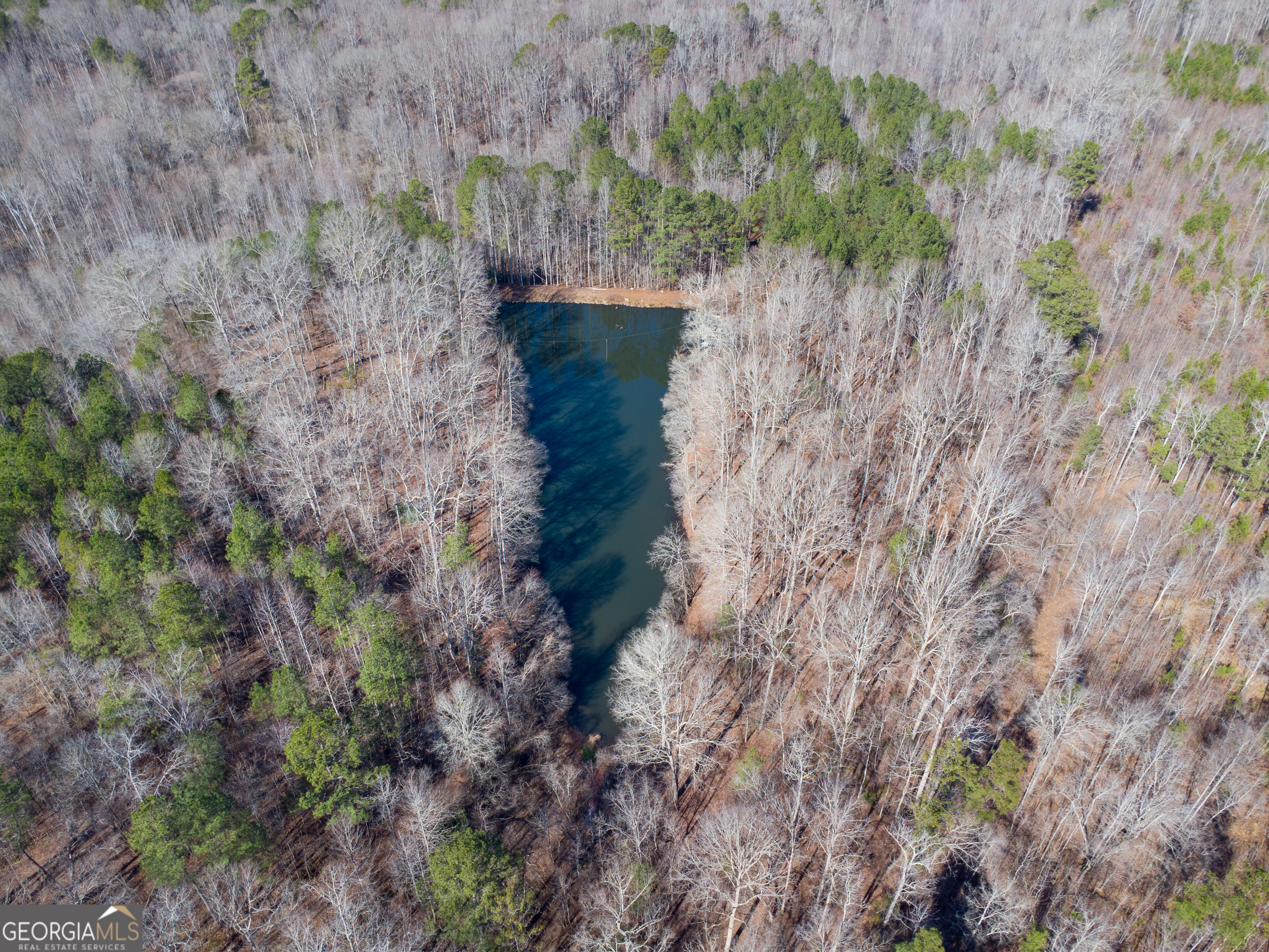 Land in Moreland 5