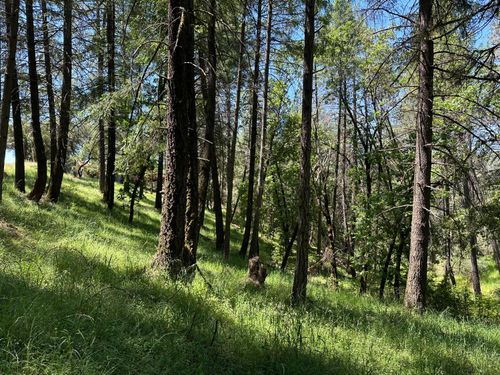 2663 Sweetwater Trail Trail, Cool, CA, 95614 | Card Image