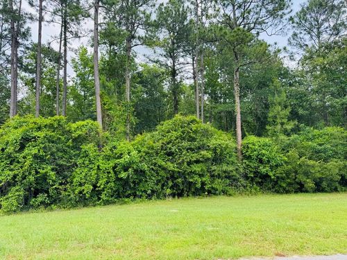 Lot 80 Spring Oak Dr, Carriere, MS, 39426-5502 | Card Image
