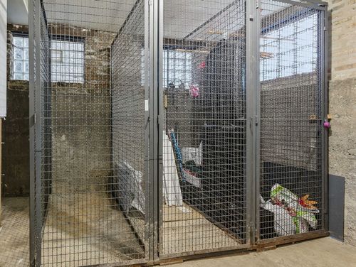 apt-3e-1443 W Victoria St, Chicago, IL, 60660-4286 | Card Image