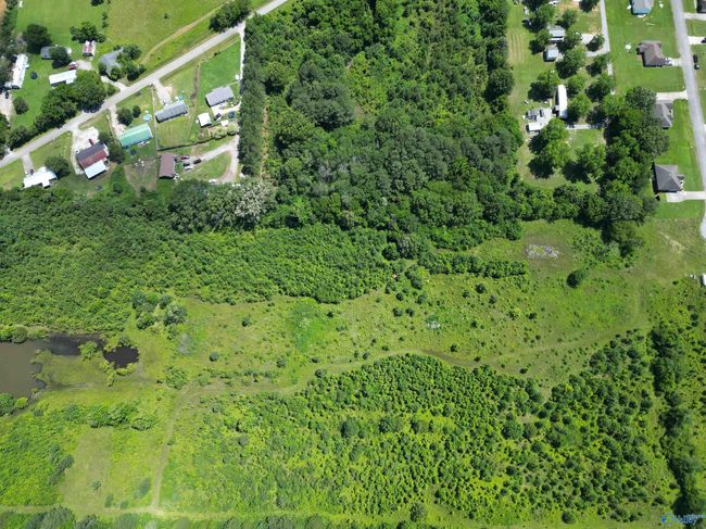 14 Acres Beaver Creek Rd, Home with 0 bedrooms, 0 bathrooms and null parking in Laceys Spring AL | Image 5