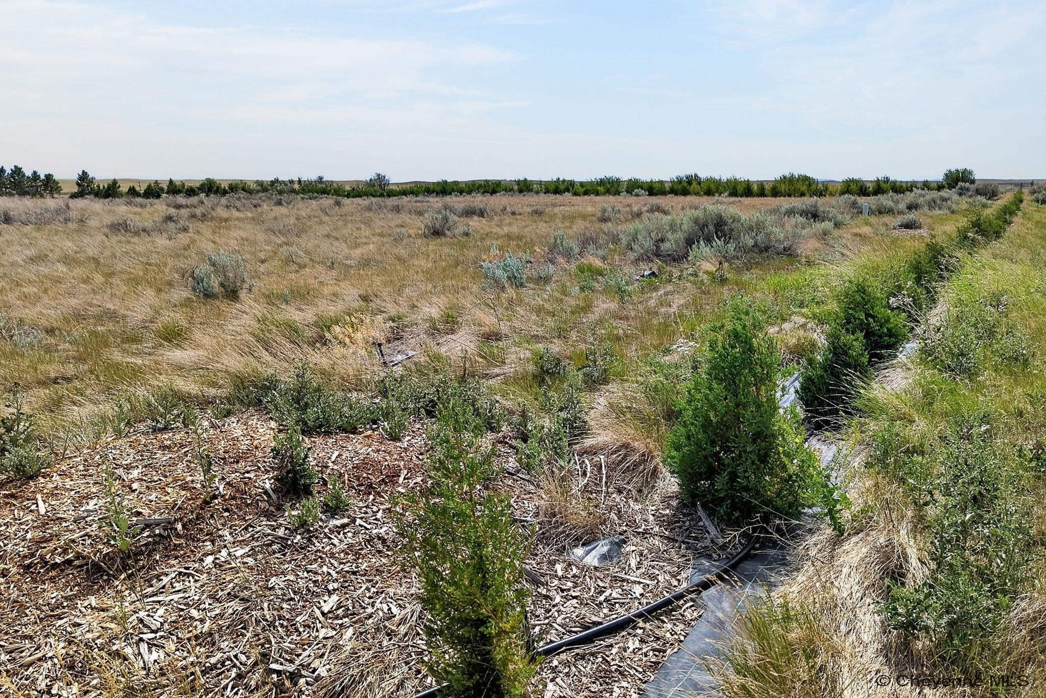 Land in Cheyenne 4