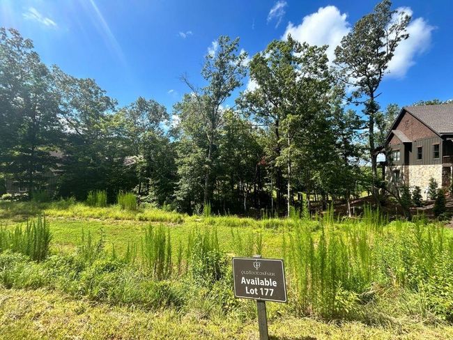 LT177 Toccoa Ave, Home with 0 bedrooms, 0 bathrooms and null parking in Mineral Bluff GA | Image 5