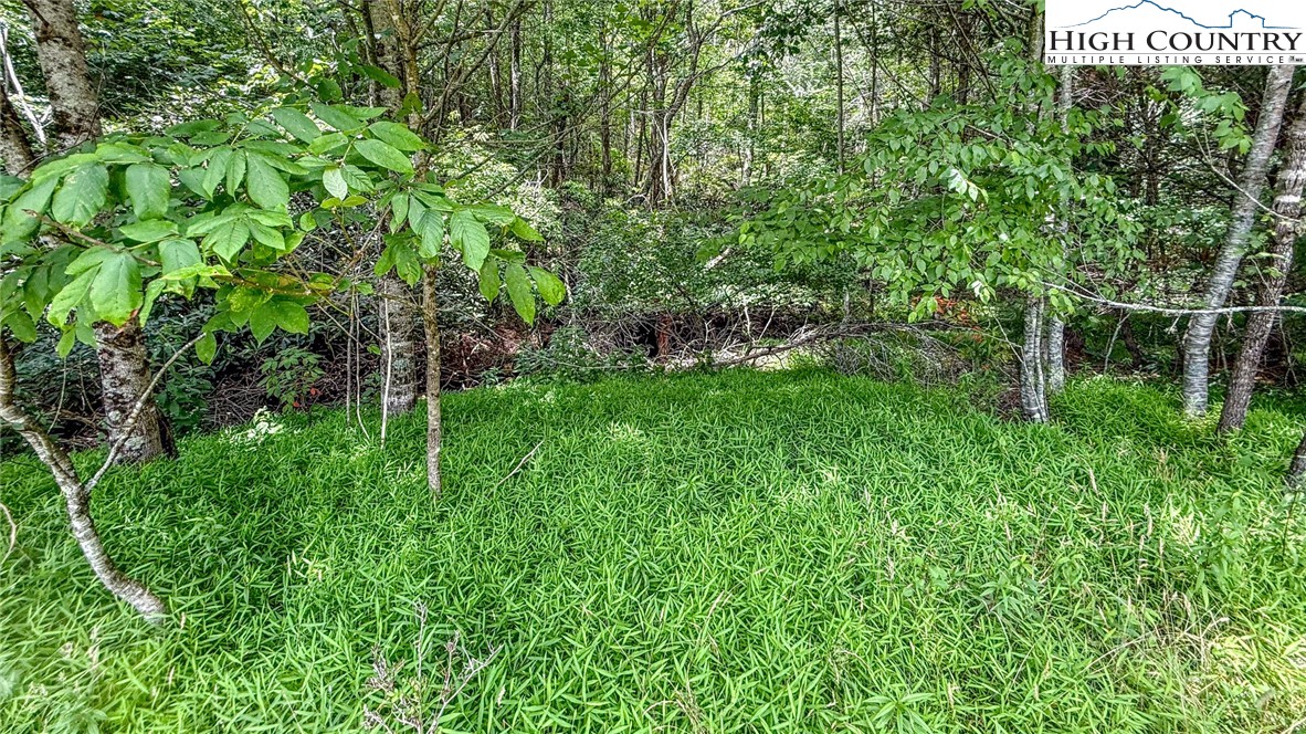 Land in Jefferson 4