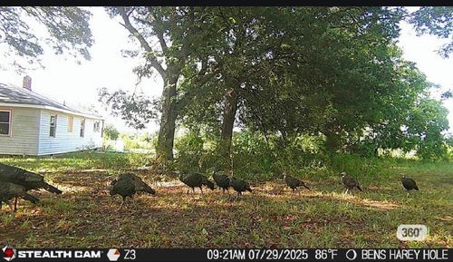 737 Lowrys Rd, Gaffney, SC, 29340-5713 | Card Image