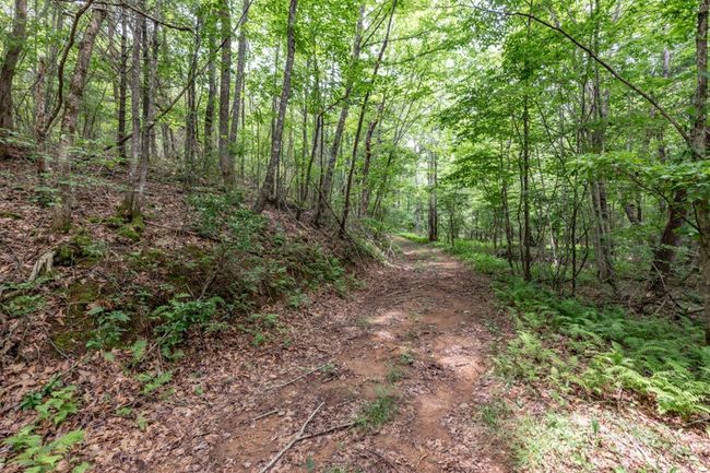 26.18 AC Green Road, Home with 0 bedrooms, 0 bathrooms and null parking in Young Harris GA | Image 20