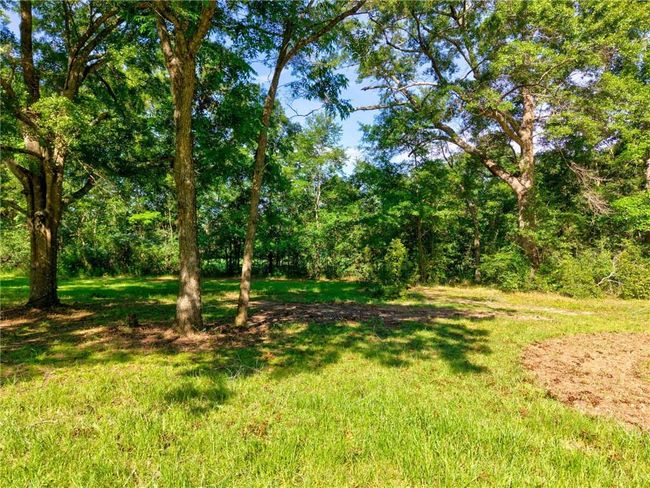 View of grassy yard | Image 10