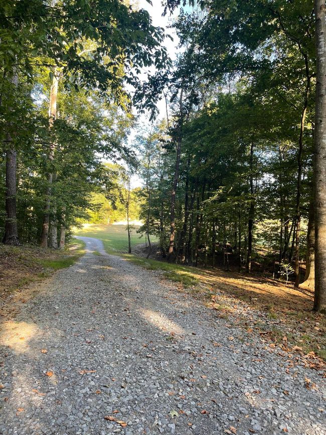 Driveway | Image 105