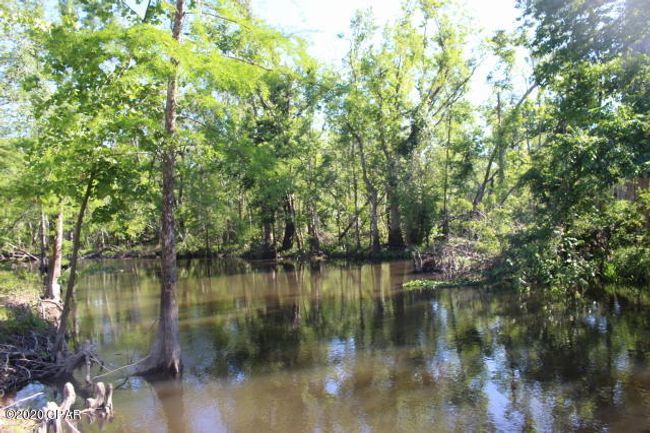 10012 Sw Windsong Way, Home with 3 bedrooms, 3 bathrooms and null parking in Blountstown FL | Image 9