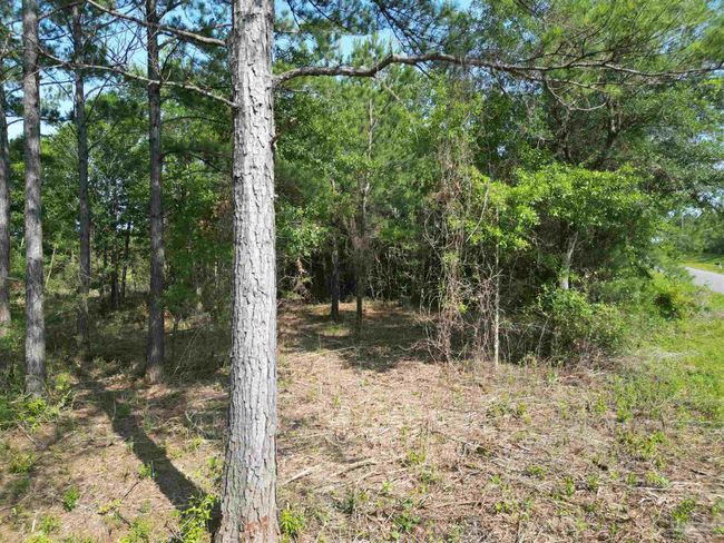 7724 Tidwell Rd, Home with 0 bedrooms, 0 bathrooms and null parking in Pace FL | Image 13