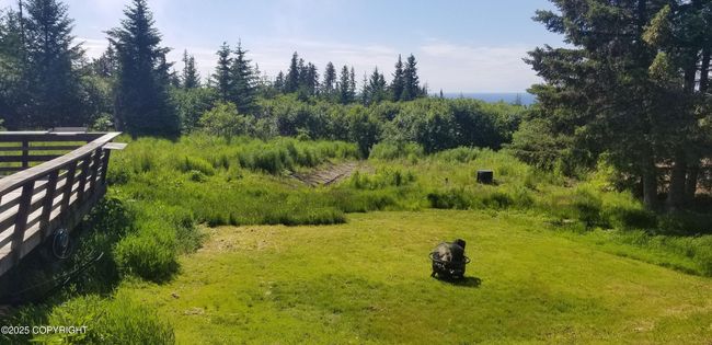 Nice yard | Image 21