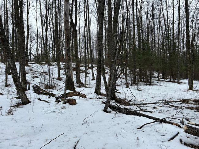 743 Woodlawn Rd, House other with 2 bedrooms, 1 bathrooms and null parking in Pickerel WI | Image 47