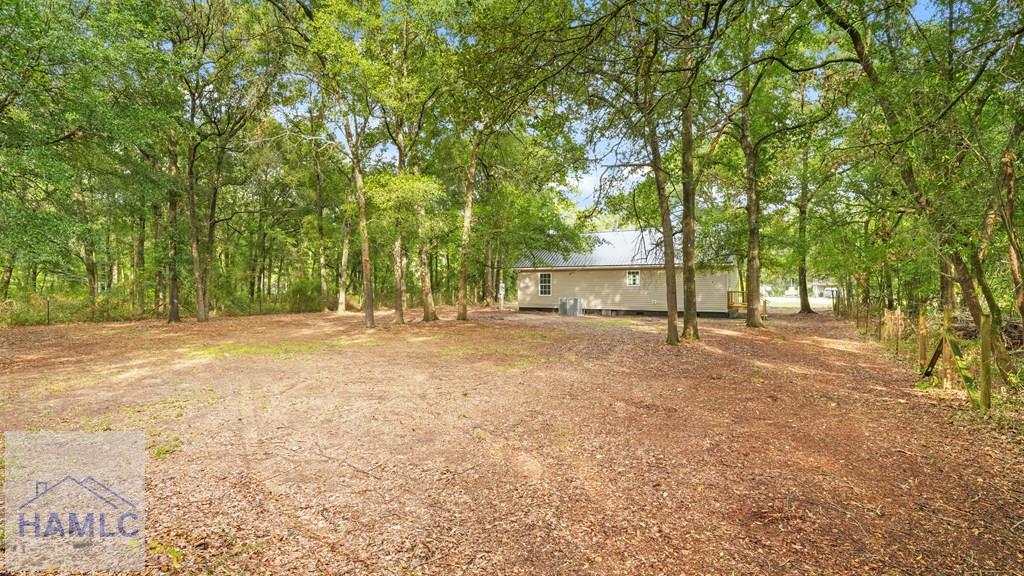 Residential in Jesup 4