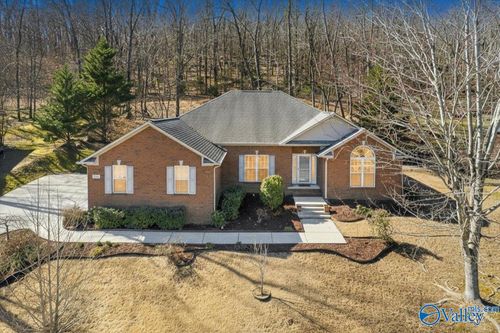 2329 Little Cove Rd, Owens Cross Roads, AL, 35763-8654 | Card Image