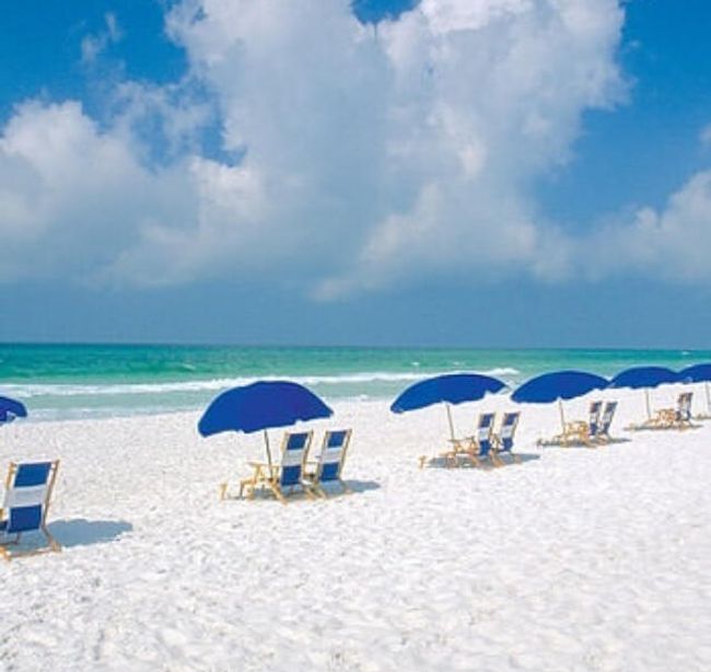 Relax at the beach | Image 33