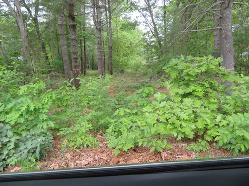 0 Burt St, Norton, MA, 02766 | Card Image