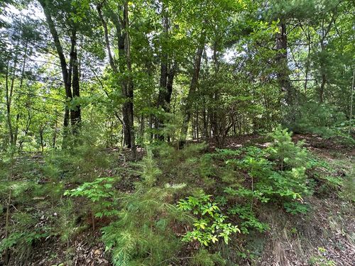 Lot 31 Peak Trl, Murphy, NC, 28906 | Card Image
