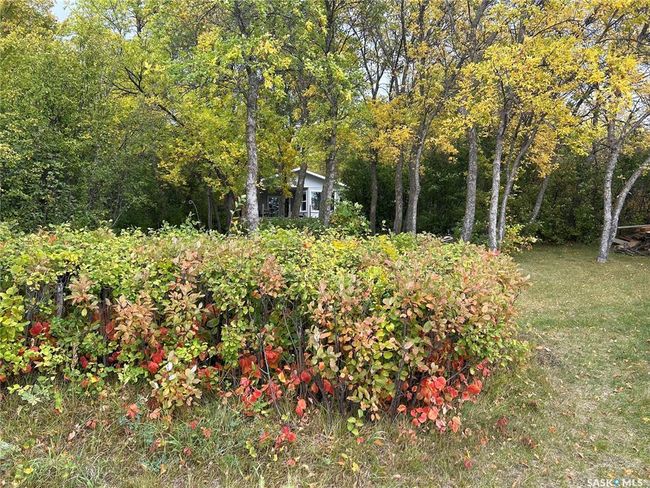 142 Garwell Drive, House other with 3 bedrooms, 1 bathrooms and 5 parking in Dufferin Rm No. 190 SK | Image 32