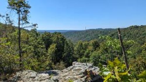 2746 Porter Rd, Shirley, AR, 72153 | Card Image