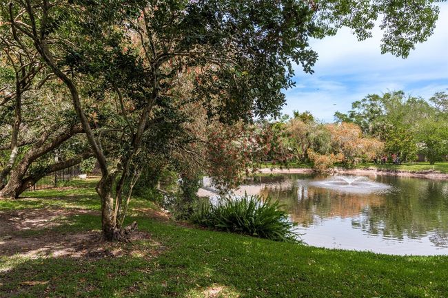 Rear Yard | Image 40