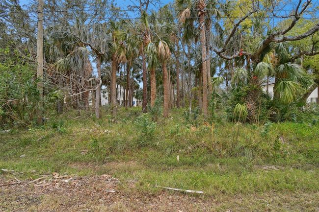 00 Phoenix Ave, Home with 0 bedrooms, 0 bathrooms and null parking in OLDSMAR FL | Image 27