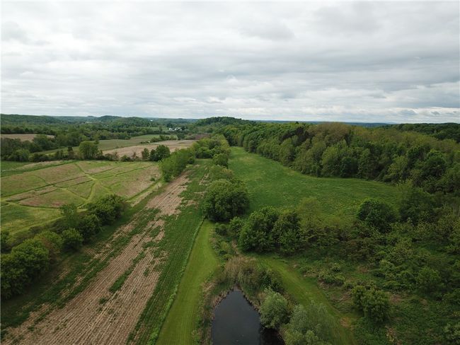 5120 Tellier Rd, Home with 0 bedrooms, 0 bathrooms and null parking in Newark NY | Image 8