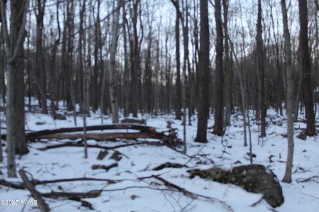 Lot View | Image 4