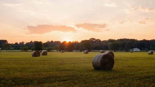 0 Gilliam Rd, Gurley, AL, 35748 | Card Image