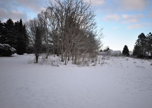 2924 Hunters Hl, Kalamazoo, MI, 49048 | Card Image