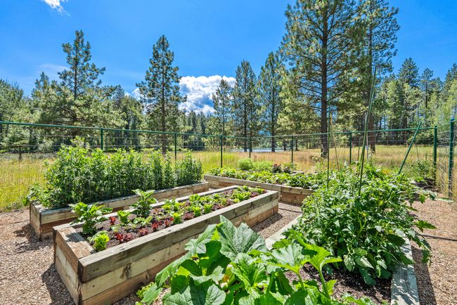 Fenced Garden with Raised Beds | Image 31