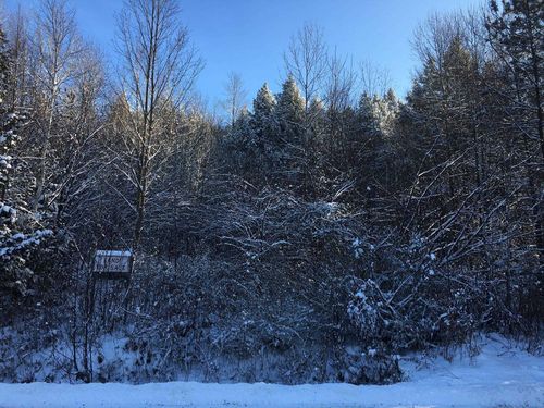 00 Paine Tpke S, Montpelier, VT, 05602 | Card Image