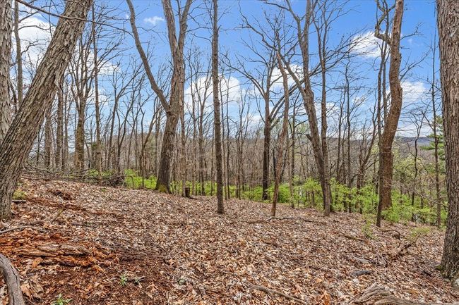0 Kenesaw Dr, Home with 0 bedrooms, 0 bathrooms and null parking in Nashville TN | Image 18