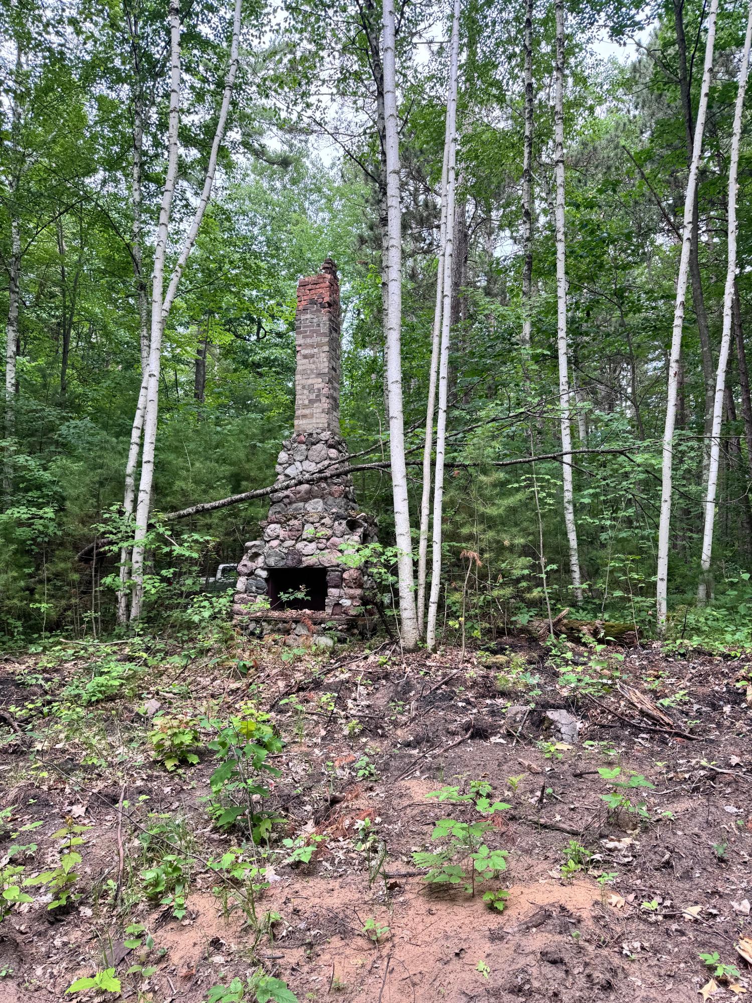 Land in Minocqua 5