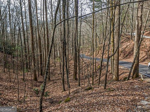 LOT 296 & 297 Evergreen Lane, Sky Valley, GA, 30537 | Card Image