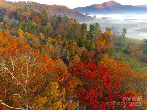 39-999 Coyote Hollow Rd, Waynesville, NC, 28785-6334 | Card Image