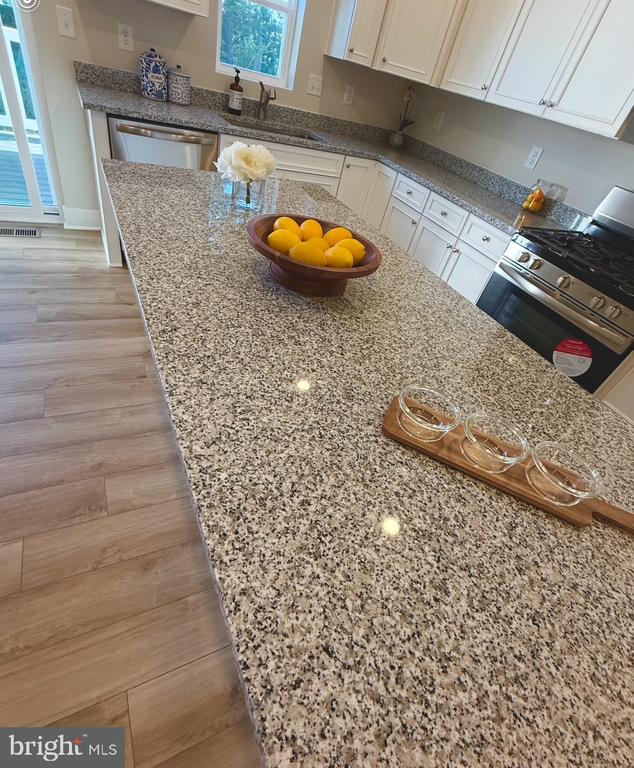 Residential Lease in MILLSBORO 5