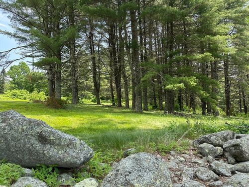 107 Campbell St, Rutland, MA, 01543-1600 | Card Image